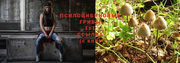 ALPHA PVP Баксан