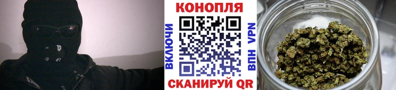 гидра ссылки  где продают наркотики  Куртамыш  Марихуана Amnesia 